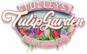 Tulip Garden